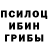 Галлюциногенные грибы мицелий Sia Ali