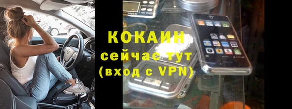 дмт Абаза