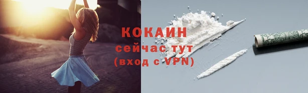спиды Алзамай