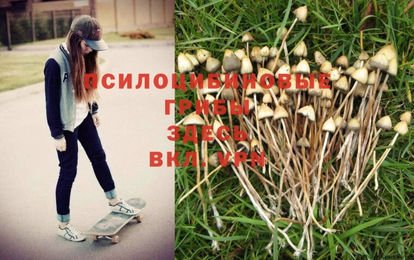 каннабис Абинск