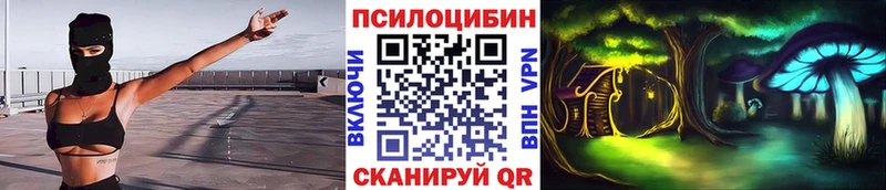 купить наркотик  Чухлома  Галлюциногенные грибы прущие грибы 